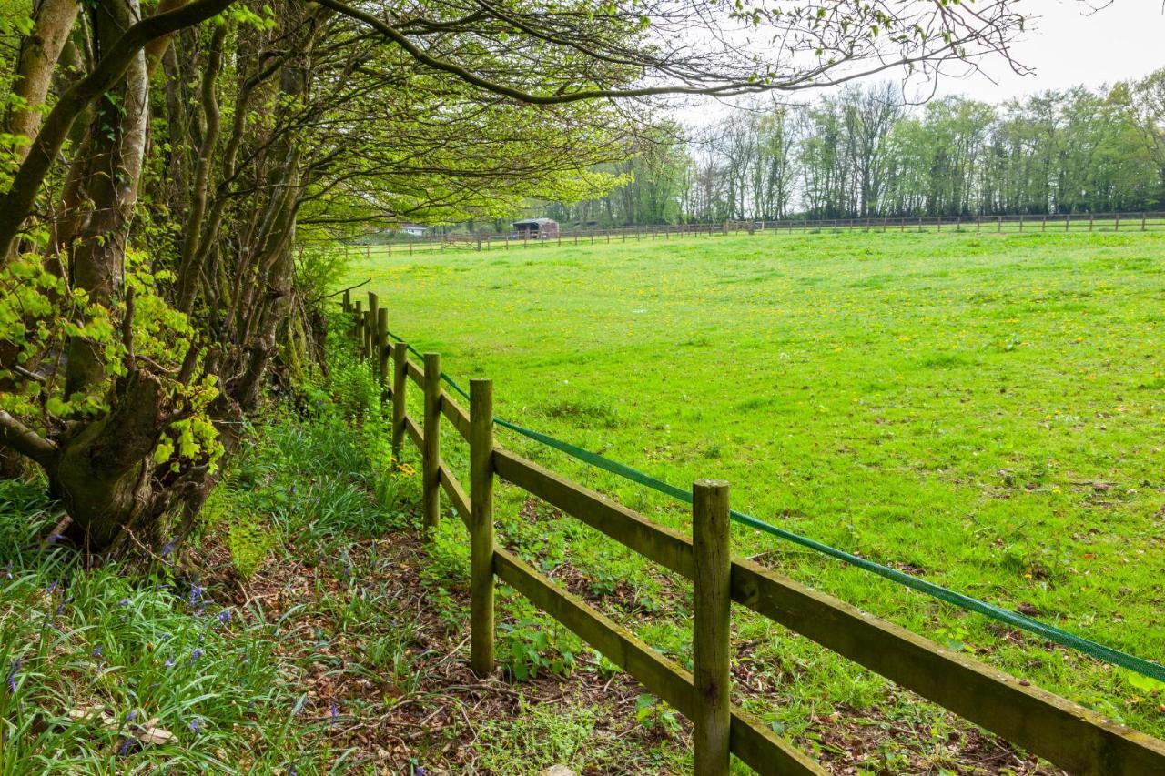 Southcott Farm Cottage Гонитон Экстерьер фото